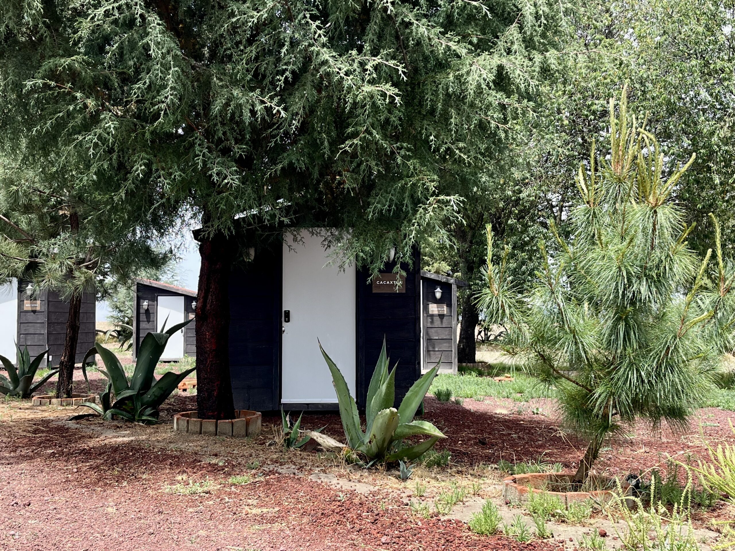 Minicabañas-Glamping boutique