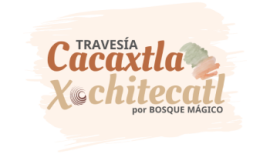 Cacaxtla
