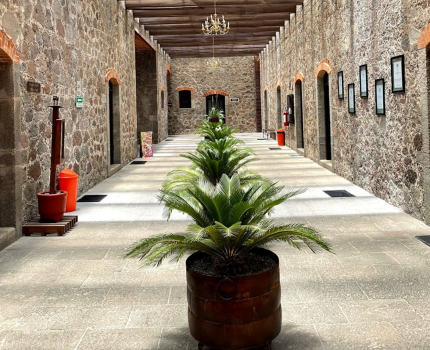 Corredor acceso centro vacacional La Trinidad
