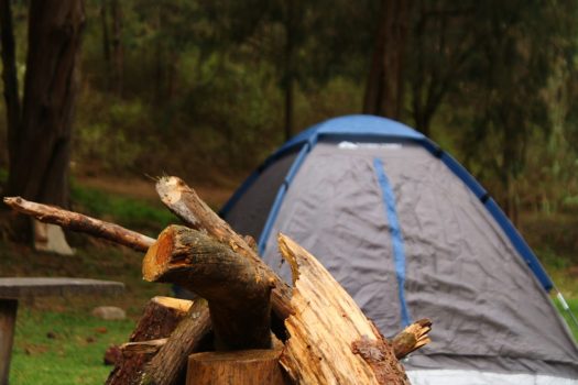 Fogata en campamento en el santuario de las luciérnagas